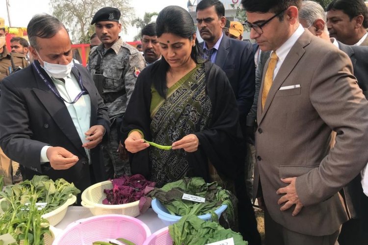 image_750x500_61ace09d6792b UP dispatches rice, green chilli to China, UAE