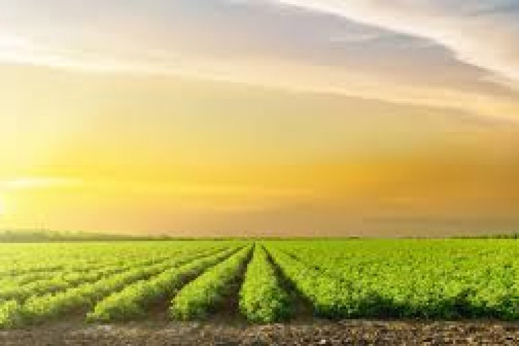 image_750x500_61af43c80e990 Arya.ag leads the way in agritech ecosystem by joining UN Global Compact Network India