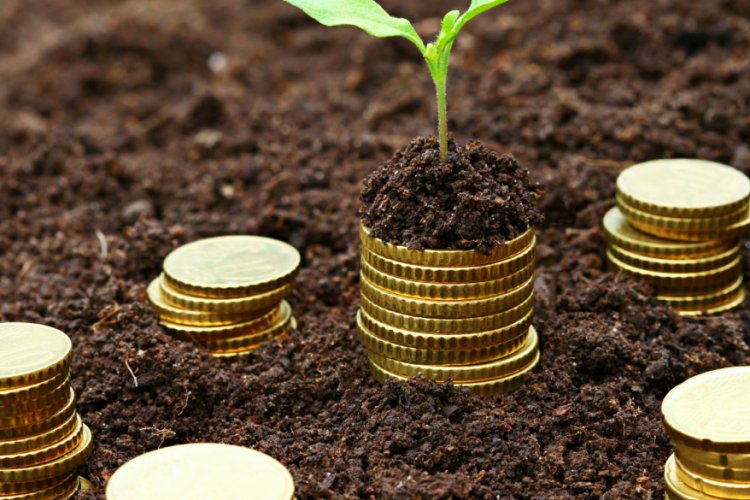 image_750x500_639203a4461e2 Origo eMandi and Vivriti Capital join hands to provide finance to FPOs, farmers