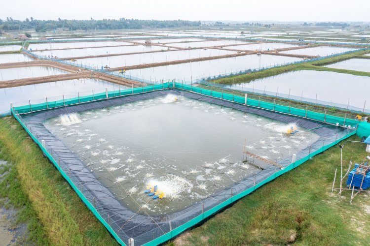 image_750x500_6412aec067c00 Dairy, fishery co-ops to be enlisted in rural banking outreach: Govt