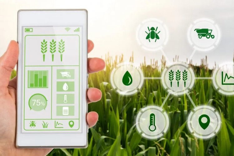 image_750x500_646af1d125a93 Govt encouraging adoption of innovative farm techniques