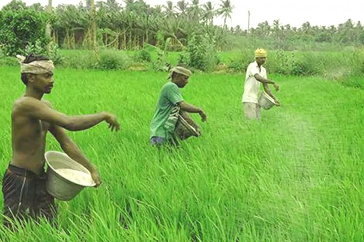 image_750x500_649bf257b658d Nearly 75 pc farmers buy agri-inputs from affiliated FPOs: Dvara E-Registry survey