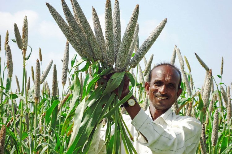 image_750x500_651d318a324d4 Pioneering progress in pearl millet: Corteva Agriscience - ICRISAT - ICAR join hands