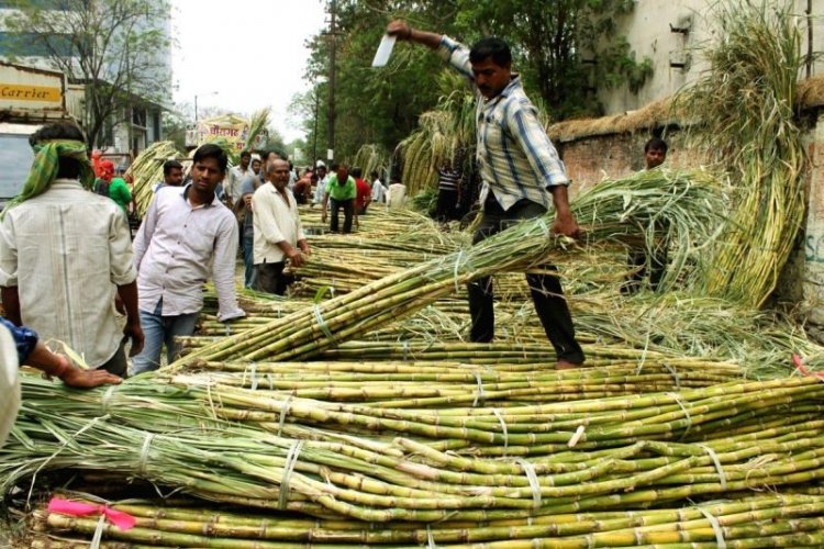 image_750x500_65ac0be0bf35d Make farmers shareholders in Corporate India; Convert sugarcane outstanding into equity