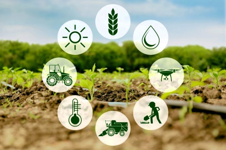 image_750x500_65bc9e257c2e9 FMC India launches Farm Intelligence Platform to help farmers optimize crop yield