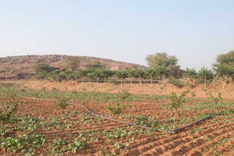 image_750x500_65e306793eb13 16th Finance Commission and conservation of Natural resources