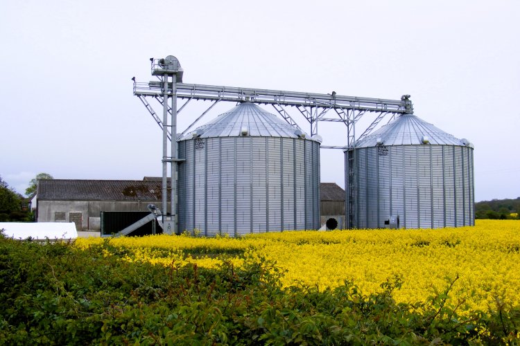 image_750x500_660d499a43498 Punjab govt yields to farmers' demand, withdraws order declaring private silos as purchase centres