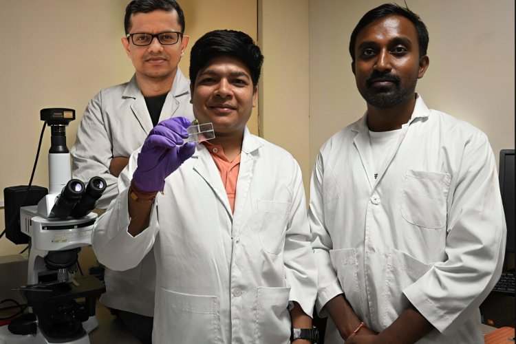 image_750x500_66a8ac0452afb A Portable System to replicate soil-like conditions