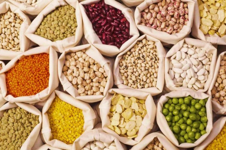 image_750x500_66a9d5669b2a8 Govt. approves continuation of PM-AASHA, extends groundnut and soybean procurement