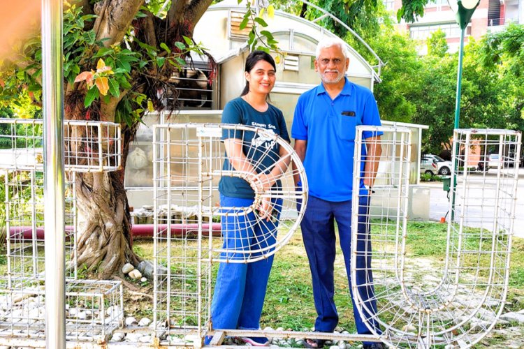 image_750x500_66b9bc1a0ca69 Nitrogen Use Efficient rice varieties and their traits/genes discovered at Indraprastha University