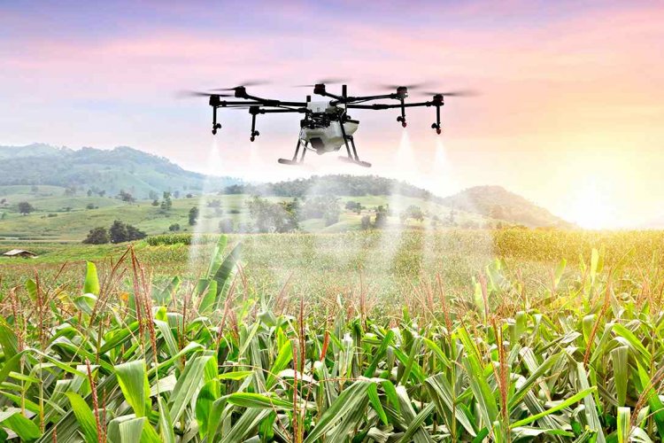 image_750x500_66cc3373b7041 Safex Chemicals Expands Manufacturing Footprint with New State-of-the-Art Facility in Bharuch