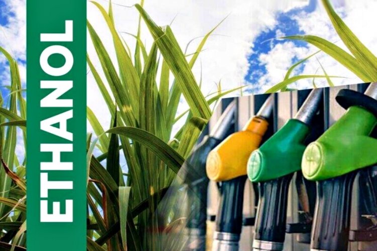 image_750x500_66d0825366756 Government lifts ban on ethanol production from sugarcane juice, FCI will sell 23 Lakh tonne rice to distilleries