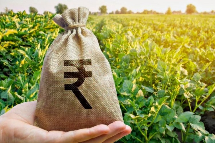 image_750x500_66d1850d3d36d Mastercard collaborates with Gramophone to provide agri inputs and credit to farmers