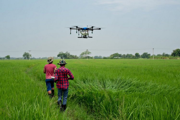 image_750x500_66d8583cc3470 PDRL launches BhuMeet for connecting drone service providers with farmers