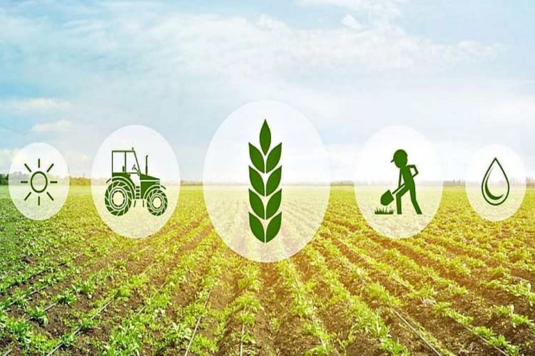 image_750x500_66e0083320d6b Walmart foundation awards $ 2.78 million to boost agricultural tech in India