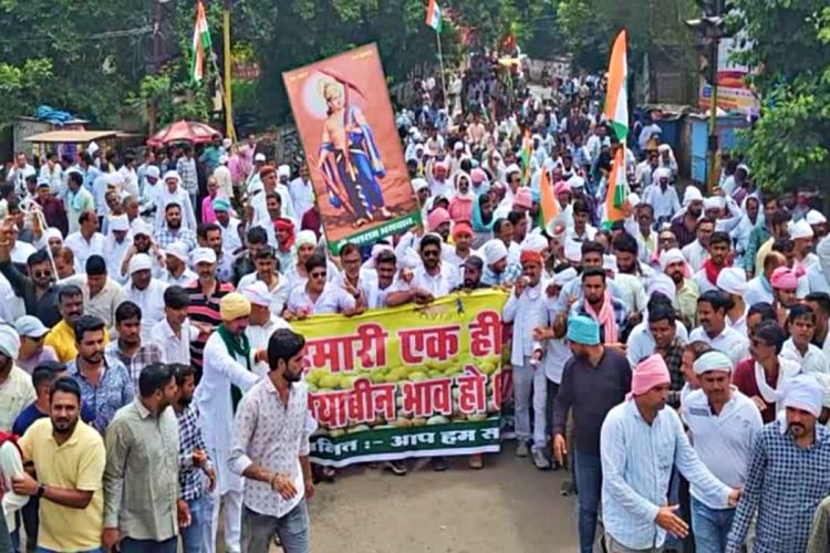 image_750x500_66f17f66a5b91 Soybean prices remain low despite import duty hike on edible oils