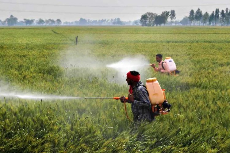 image_750x500_6703d70a24807 Crystal Crop Protection launches herbicide for wheat crop