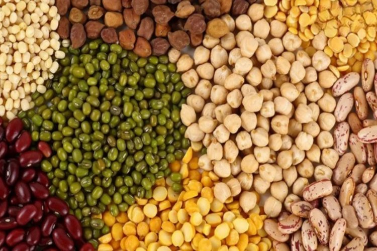 image_750x500_672e2d86023b6 Centre asks north-eastern states to increase production of pulses and horticultural crops
