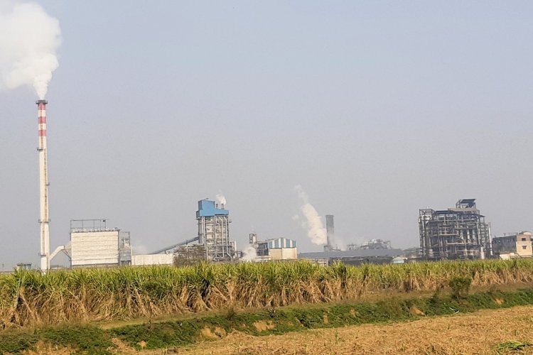 image_750x500_679893f7054fc Sugarcane shortage to shut most sugar mills in UP, Maharashtra by March