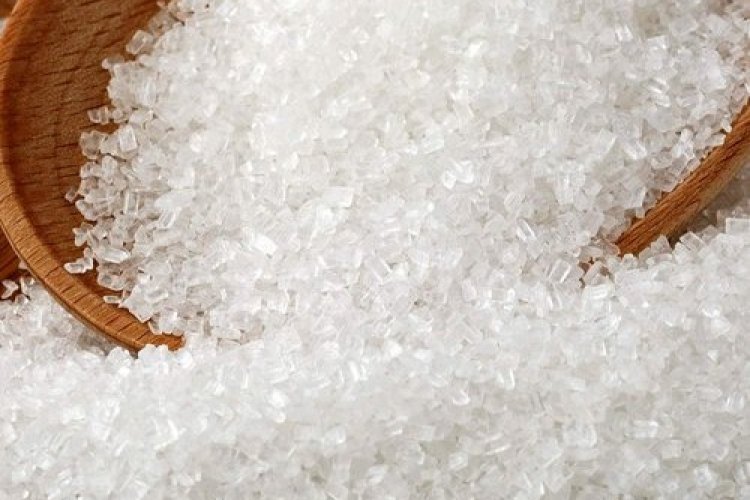 image_750x500_67d138854c637 India’s Sugar Production to Drop 19% to 25.8 Million Tonnes in 2024-25: AISTA