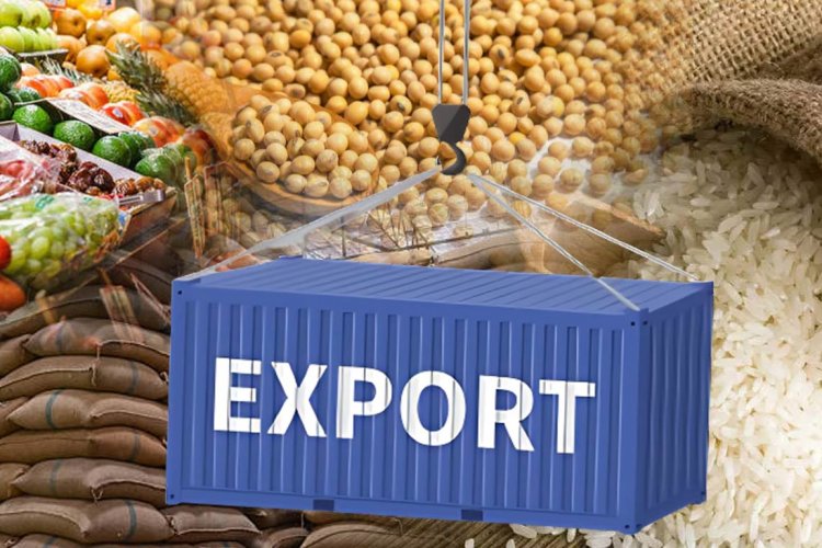 image_750x500_6800fdb809e30 India's Agricultural Exports Rise by 12.69% Amid Global Uncertainty; Rice Exports Up by 19.73%