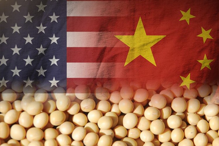 image_750x500_680374c96e9aa US Tariffs Targeting Chinese Shipping Could Undercut American Farm Exports