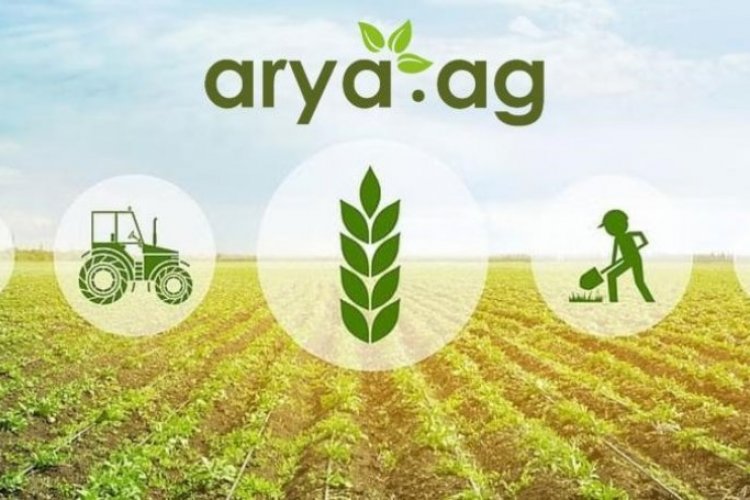 image_750x500_681cafd6413a2 Arya.ag Reports ₹32 Cr PAT in FY25, Grows Despite Sectoral Headwinds