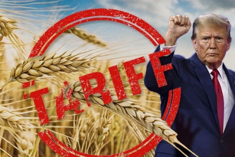 image_750x500_6820eb90aad6d How India's Agricultural Sector Factors into the U.S. Reciprocal Tariff Policy