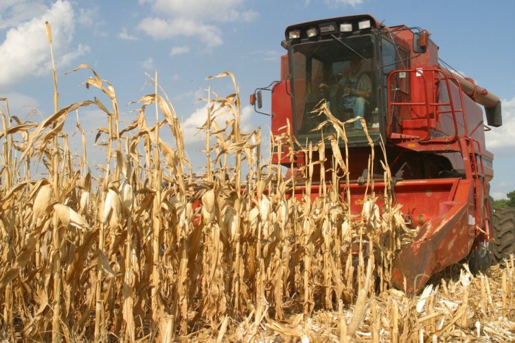 image_750x500_682999d11e88e U.S. Agriculture’s Global Influence Shrinks Amid Trade Wars and Export Declines