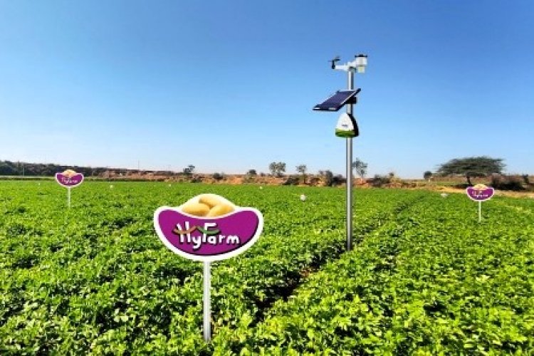 image_750x500_682efb48e8957 HyFarm and Fyllo Collaborate to Drive AI and IoT-Powered Precision Farming for Potato Cultivation