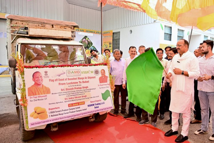 image_750x500_684fbe9dedaa1 UP’s Dussehri Mangoes Reaches Dubai: First Direct Export from Lucknow