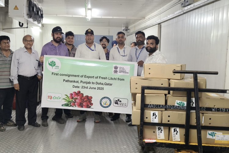 image_750x500_685e77b12fdb1 India Flags Off First Consignment of Rose-Scented Litchi from Pathankot to Qatar