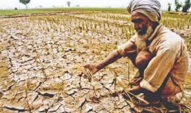 Challenges before Indian agricultural sector