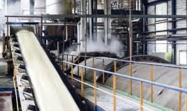 Global fertilizer price rise: UP sugar mills to manufacture potash