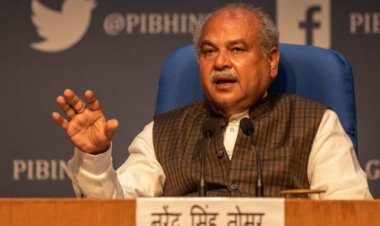 NARS develops high yielding species of seeds of pulses: Minister