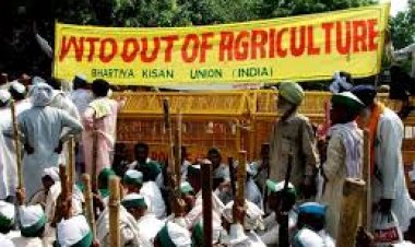 Farm Subsidies and Why We Need Effective Disciplines in the WTO