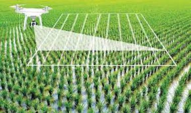 AgNext digitizing Food Quality using AI