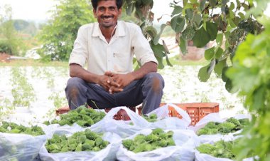 Agritech platform Gramophone raises  funding of 25 crores