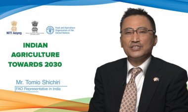 From ‘food security’ to ‘nutrition security’ and much more