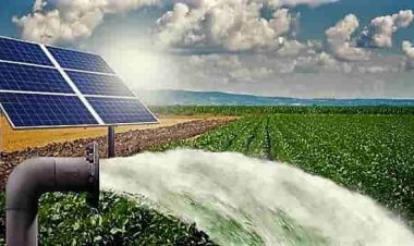 Budget 2021: Pivotal transformation for agriculture growth in new normal