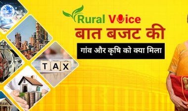 Budget 2021-22 and Rural Development: Implementation is the Key