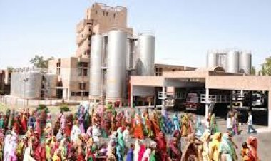 Stellapps raises funding from IDH FarmFit