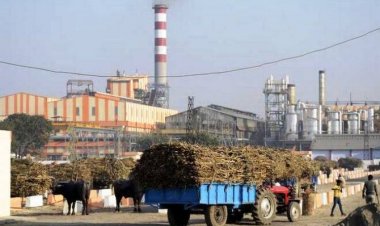 Amid Covid curbs, Indian sugar mills expect normal supply chains, exports