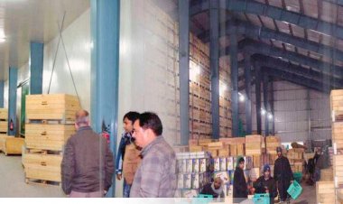 Hand over agriculture marketing  to farm cooperatives and collectives