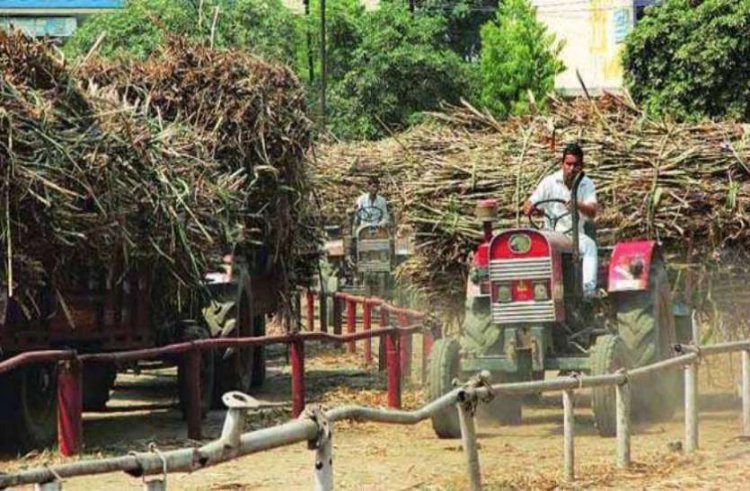 UP government red-flags under-weighment of sugarcane