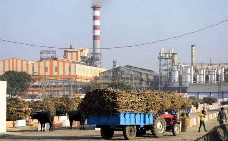 Amid Covid curbs, Indian sugar mills expect normal supply chains, exports