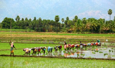Need for resilient agriculture to tackle the uncertainties of the future