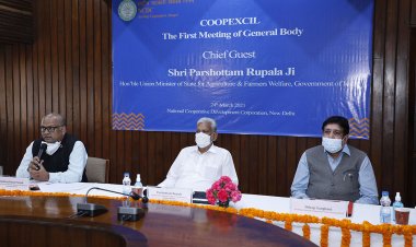 COOPEXCIL can help young entrepreneurs export value-added products