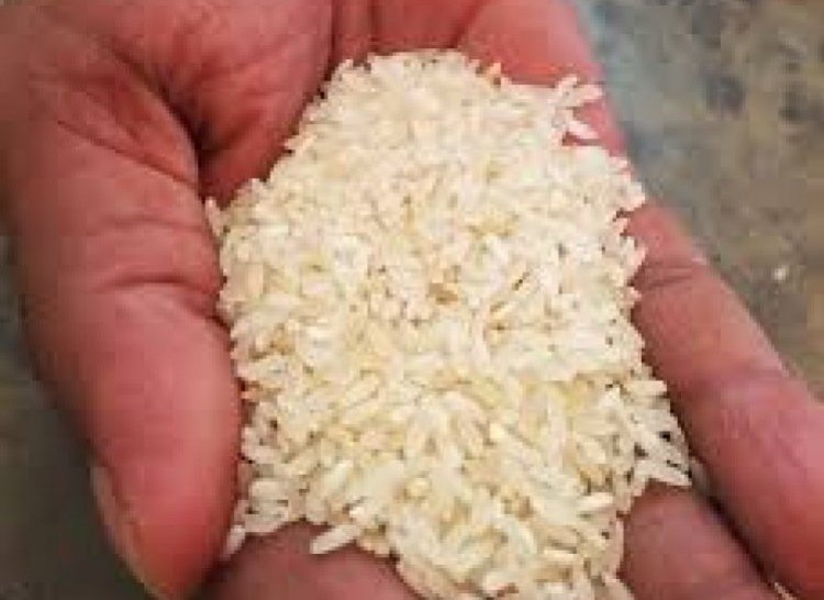 Kalanamak rice marches forward with GI tag and nutritional properties