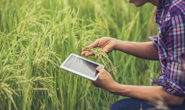 To be or not to be, that is the question: The millennial farmers in India